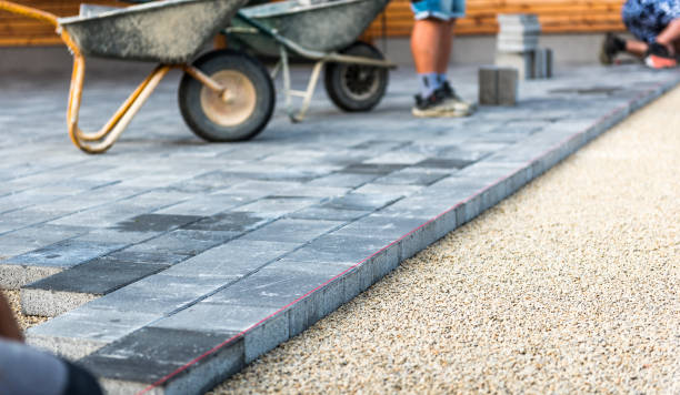 Best Custom Driveway Pavers  in Palm Valley, TX