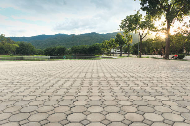 Best Local Driveway Pavers  in Palm Valley, TX