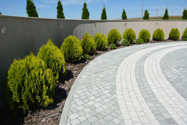 Best Local Driveway Pavers  in Palm Valley, TX