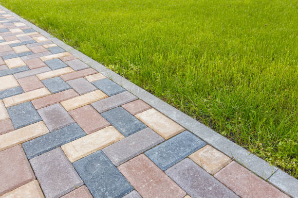 Best Decorative Driveway Pavers  in Palm Valley, TX